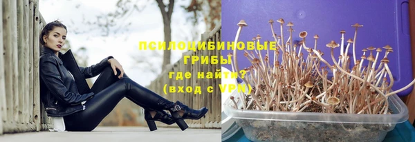 гидропоника Арсеньев